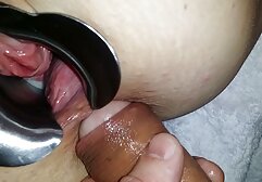 Salvaje videos porno gratis online